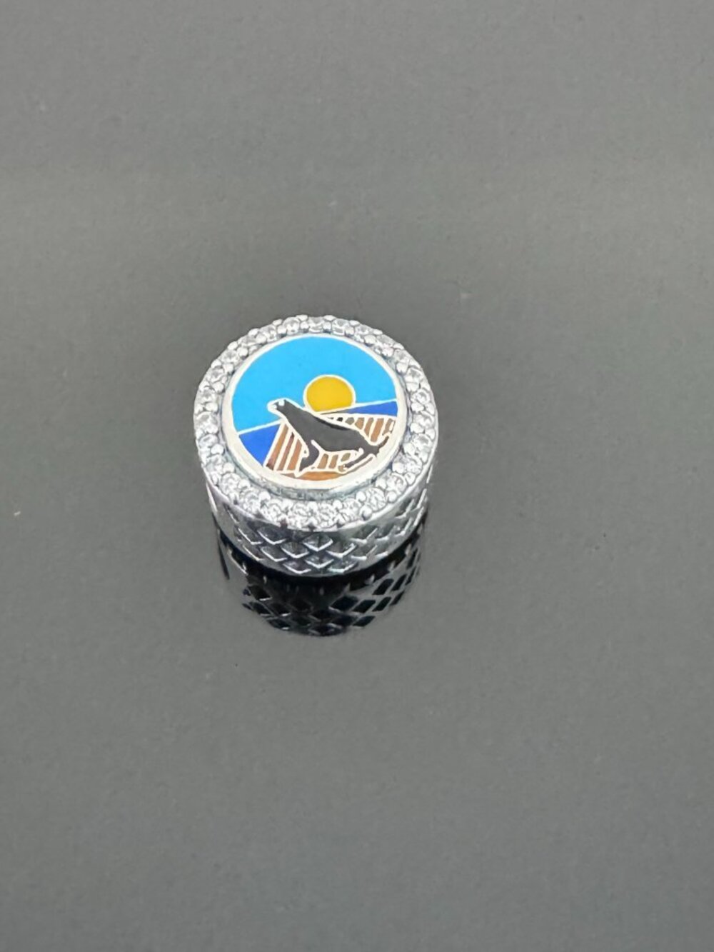 Pandora San Diego Bead Charm Exclusive - Picture 3 of 9